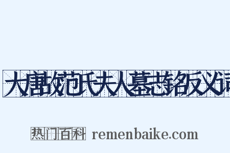 大唐故范氏夫人墓志铭反义词是什么意思的图片